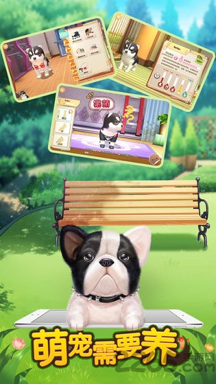 萌宠需要养手游下载