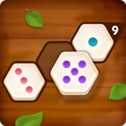 六角数字拼图小游戏(number puzzle hexa)