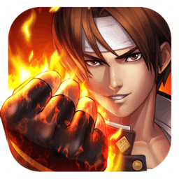 拳魂觉醒华为版