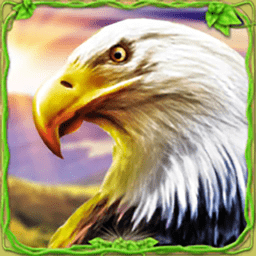 猎鹰模拟器3d小游戏