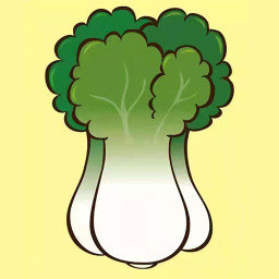 白菜装修app